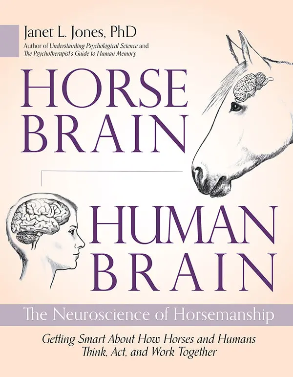 Horse Brain, Human Brain 1
