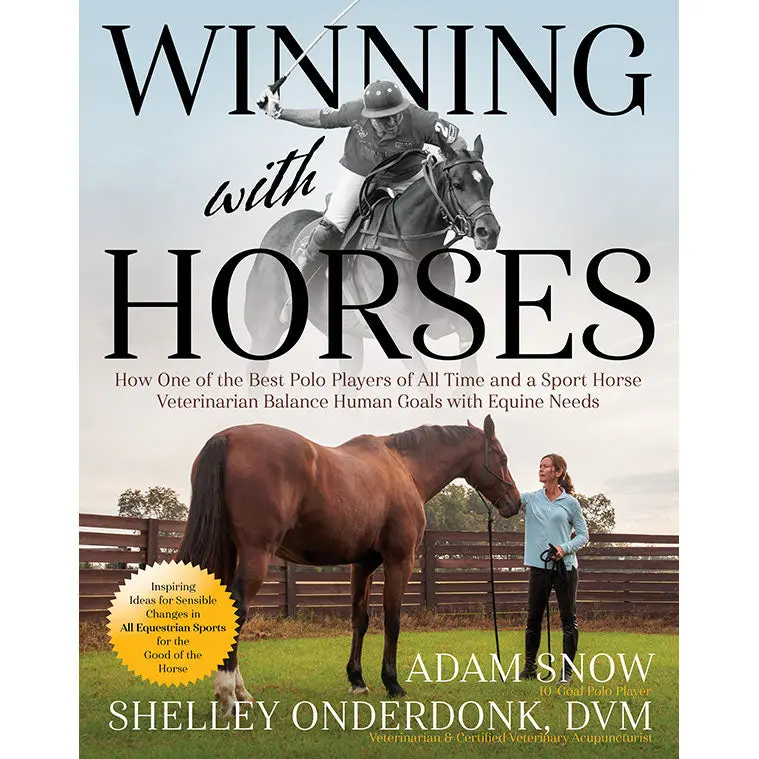 Winning With Horses 1