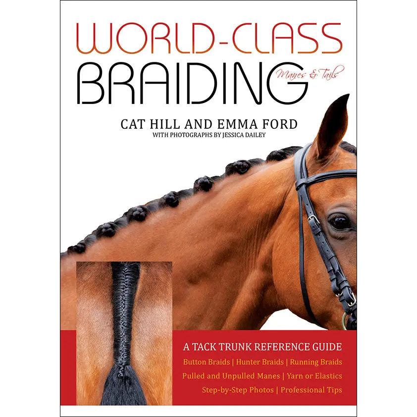 World-Class Braiding: Manes & Tails 1