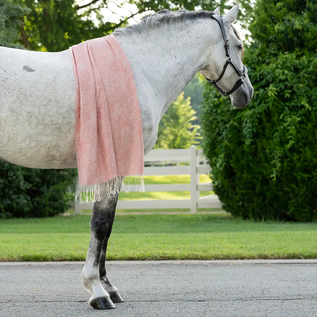 Awst Int'l Lila Linear Horses Pashmina Scarf 4