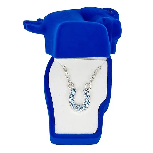 Awst Int'l Aqua Rhinestone Horseshoe Necklace W/Horse Head Gift Box 1