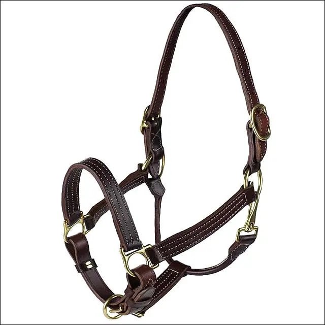 Regular Horze American Quality Horse Leather Halter Dark Brown 1