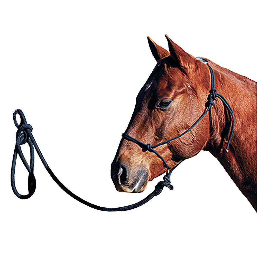 Classic Equine Horse Nylon Rope Halter W/ Lead Black 1