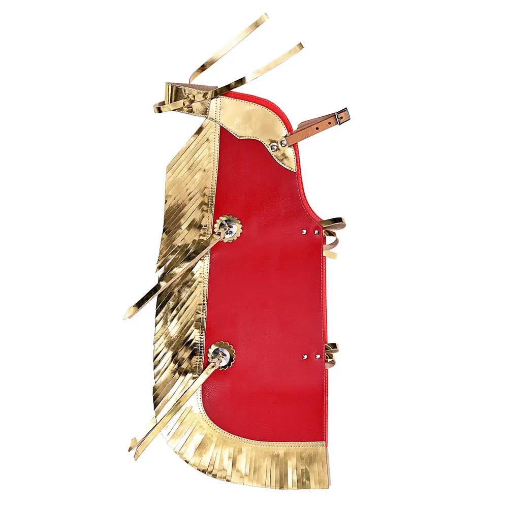Hilason Western Leather Kids Junior Youth Pro Rodeo Bull Riding Chaps 4