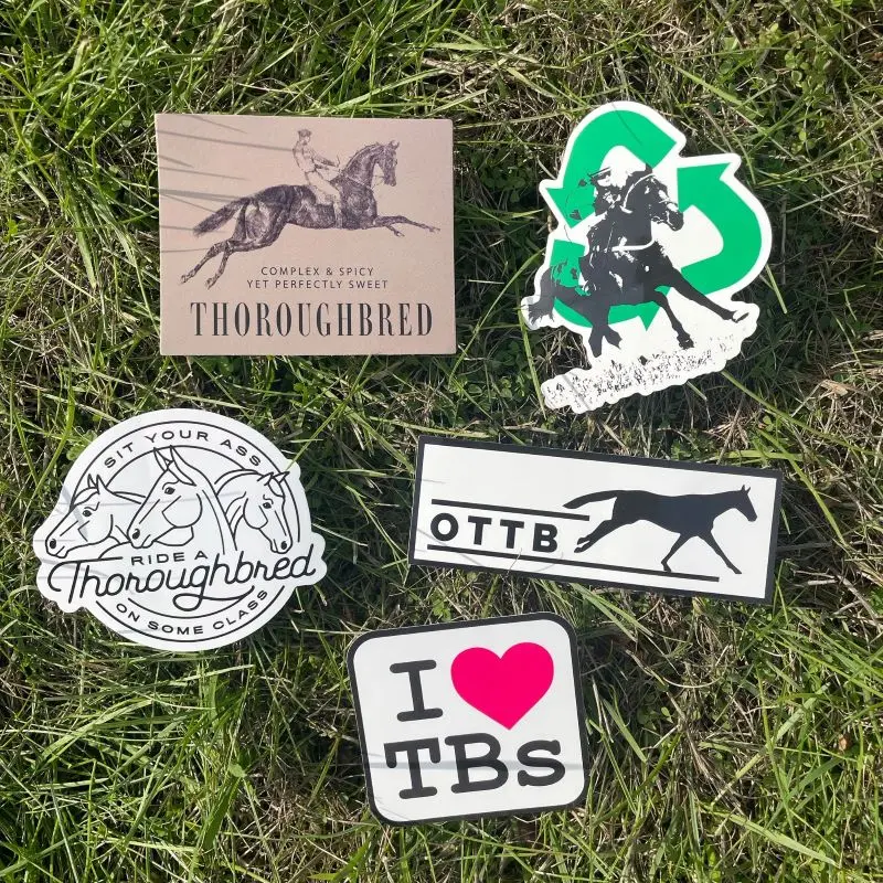 Dapplebay Ottb Sticker Pack 1