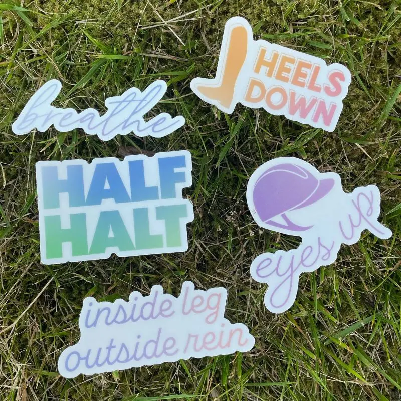 Dapplebay Trainer Sayings Sticker Pack 1