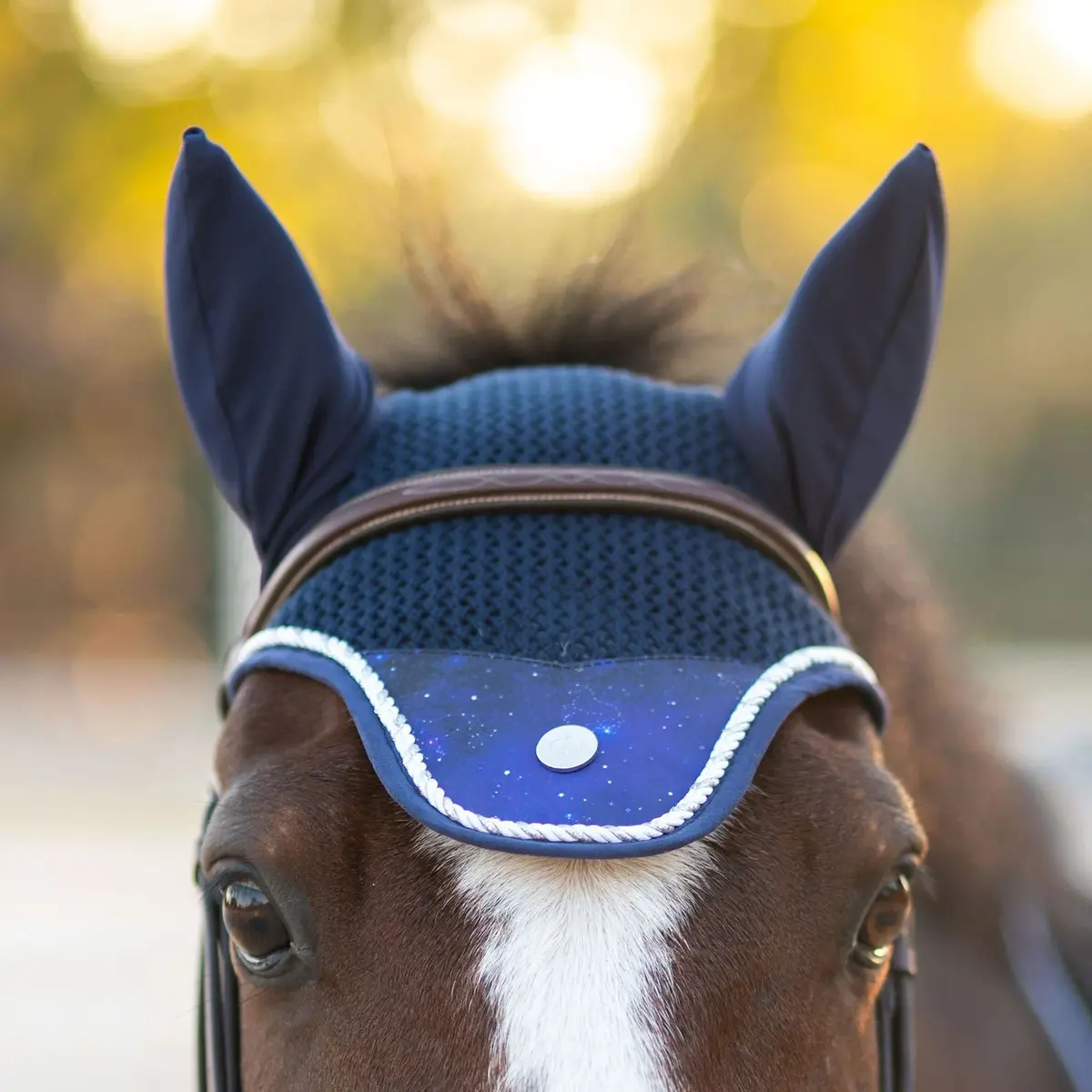 Dapplebay Constellation Pony Fly Veil 1