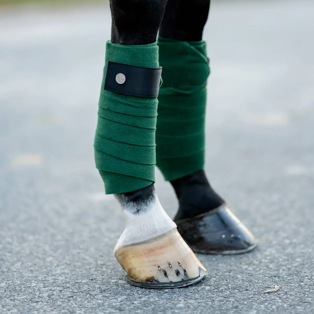 Dapplebay  Sport Polo Wraps - Evergreen 1