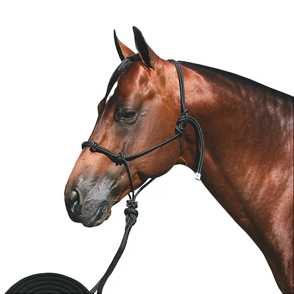 15 Ft. Professional Choice Horse Halter Clinician Knots Rope Black 1