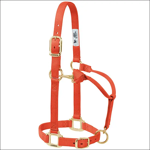Weaver Orange Nylon Pony Horse Halter Original Adjustable Chin & Throat Snap 1