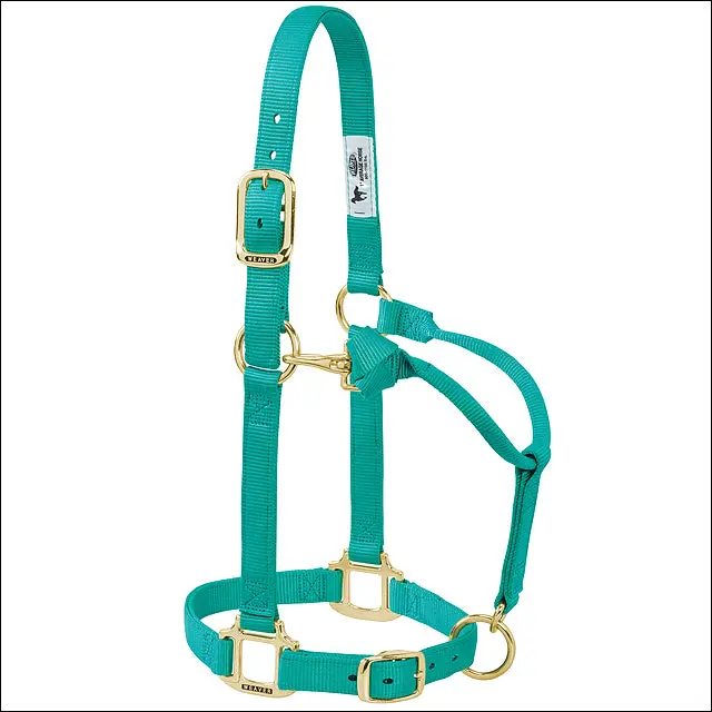 Weaver Western Tack Adjustable Horse Halter 1" Average Brass Snap Green 1