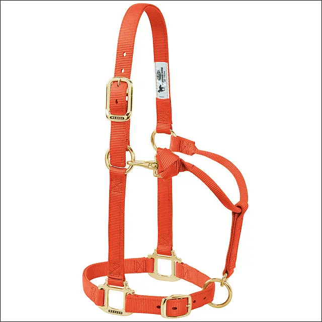 Weaver Leather Original Adjustable Nylon Horse Halter, Orange, 1" Average 1