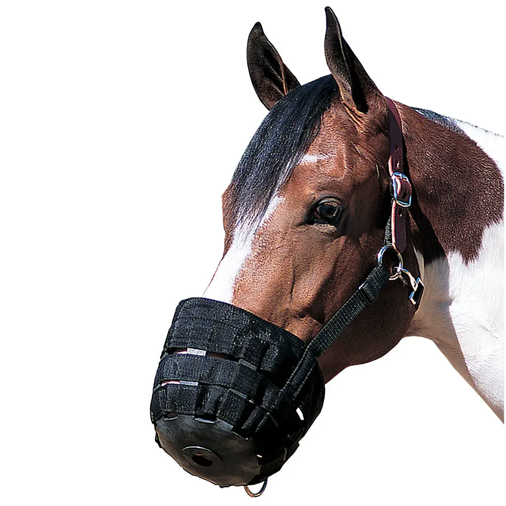 Small Weaver Horse Nylon Rubber Lined Grazing Muzzle W/ Leather Crown Black 1