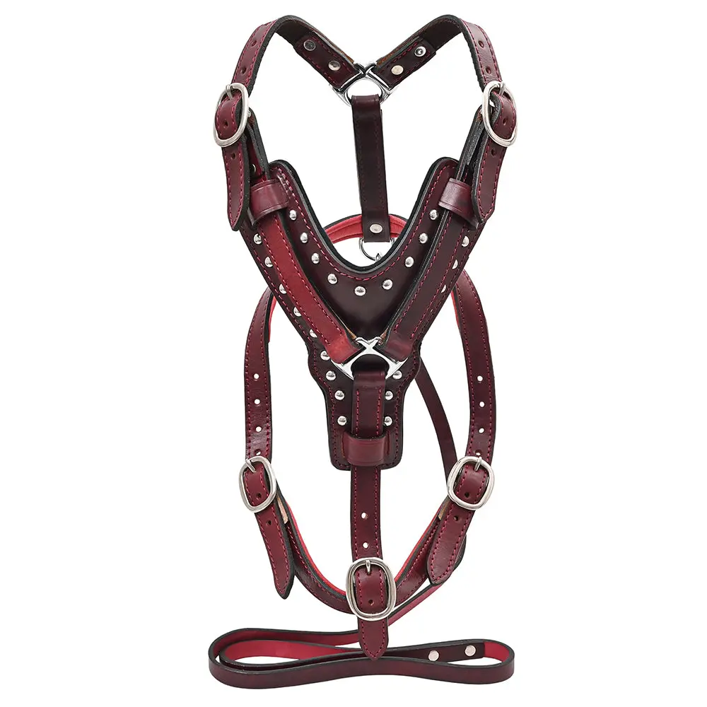 Large Leather Dog Harness Mahogany Genuine With Matching Leash Hilason 1