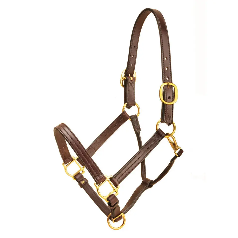 Tory Leather 1 Wide Triple Stitched Halter With Rolled Snap Throat, Adjustable Nose And Solid Brass Hardware- Black, Cob 1