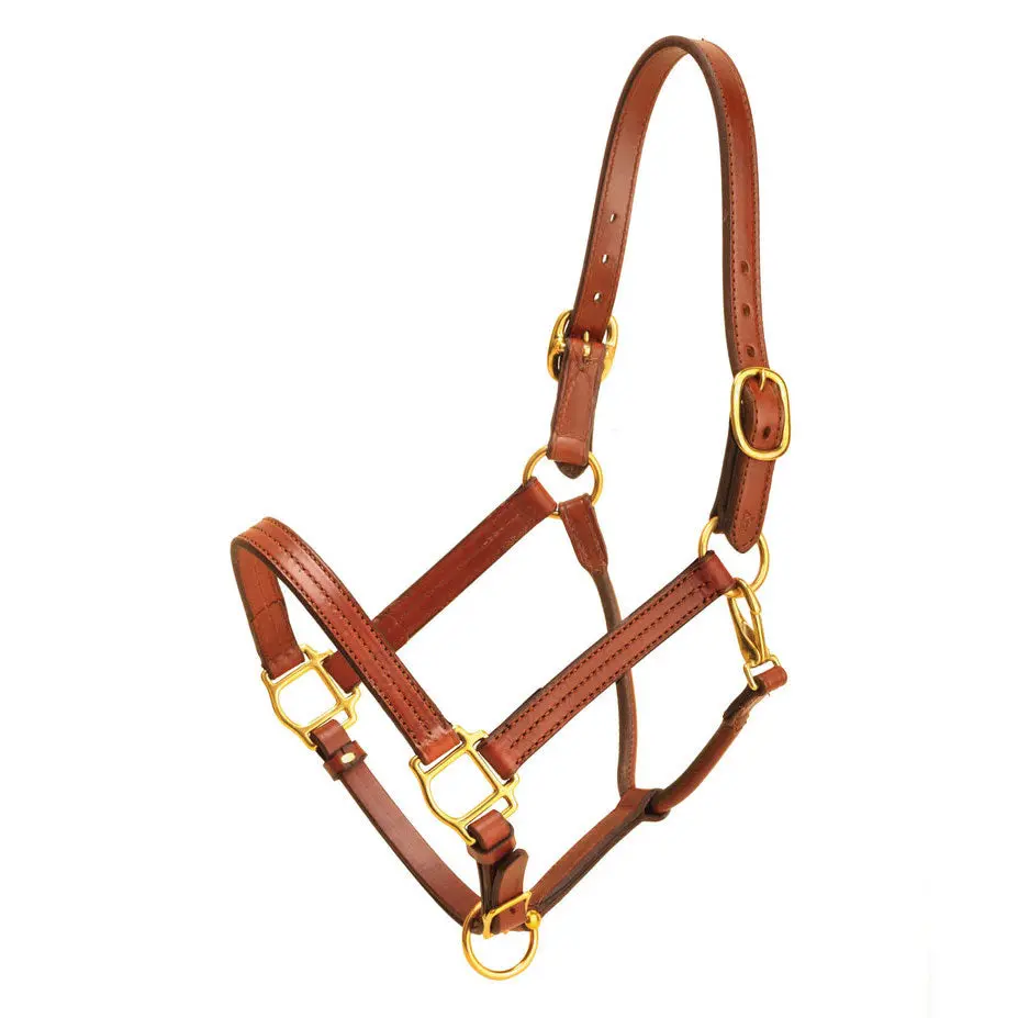 Tory Leather 1 Wide Triple Stitched Halter With Rolled Snap Throat, Adjustable Nose And Solid Brass Hardware- Black, Cob 2