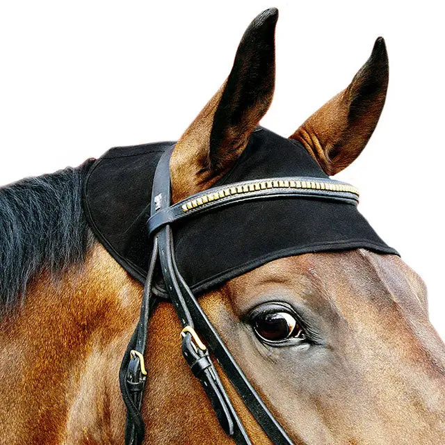Medium Large Back On Track Horse Equine Polyester Cotton Head Cap Black 1
