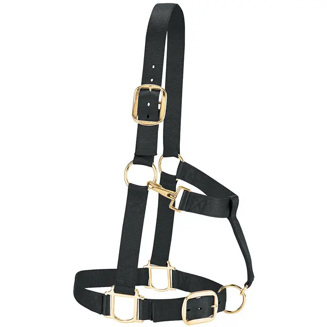 Large Weaver 1-1/2" Nylon Draft Horse Halter W/ Brass Hardware Black 1