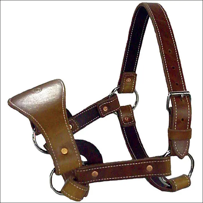 Saddle Barn Double Ply Skirting Latigo Leather Bronc Horse Halter 1