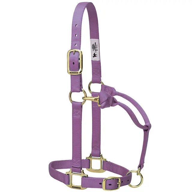 Large Weaver Horse Halter Nylon Heat Sealed Buckle Chin Throat Lavendor 1