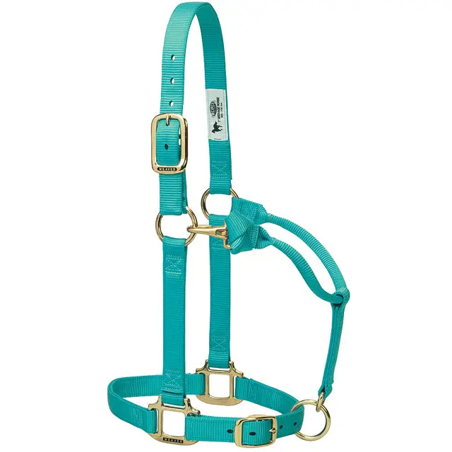 Large Weaver Horse Halter Nylon Heat Sealed Buckle Chin Throat Mint 1