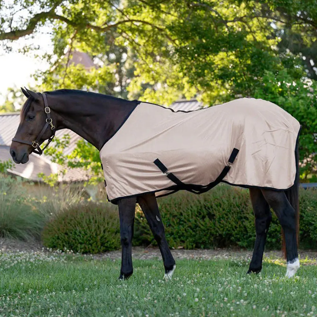 Miller's Standard Neck Fly Sheet 1