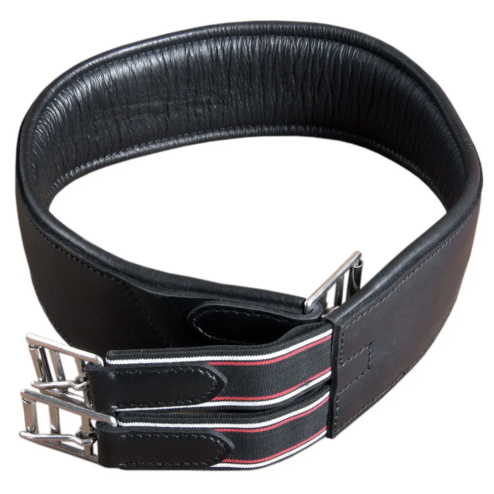 Hilason Padded Leather Horse English Saddle Girth Cinch Roller Buckles | Strap For Horses Back Western 3