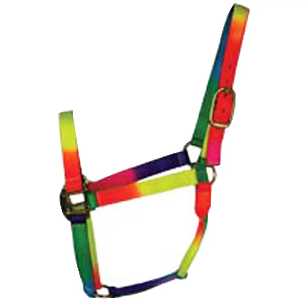 Small Hilason Horse Tack Rainbow 3Ply Adjustable Nylon Halter 1