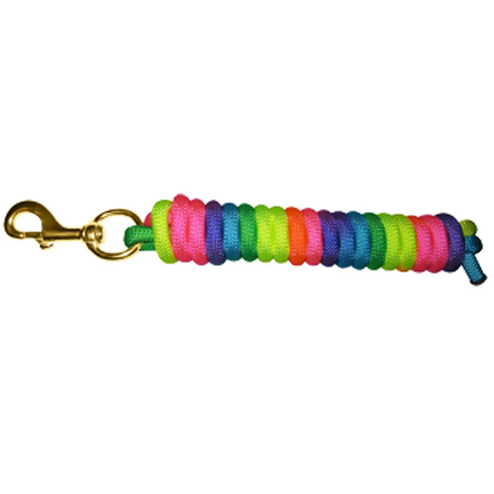 10 Ft Hilason Horse Poly Rainbow Lead Snap Brass Hardware 1
