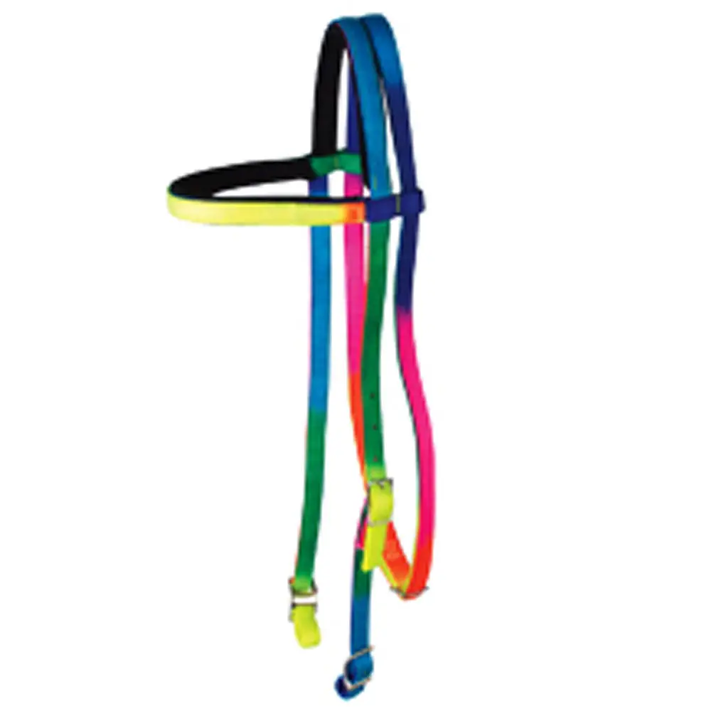 3/4" Hilason Browband 2 Ply Nylon Nickel Plated Hardware Headstall Rainbow 1