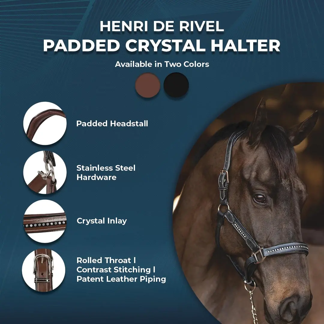 Henri De Rivel Padded Crystal Halter 1