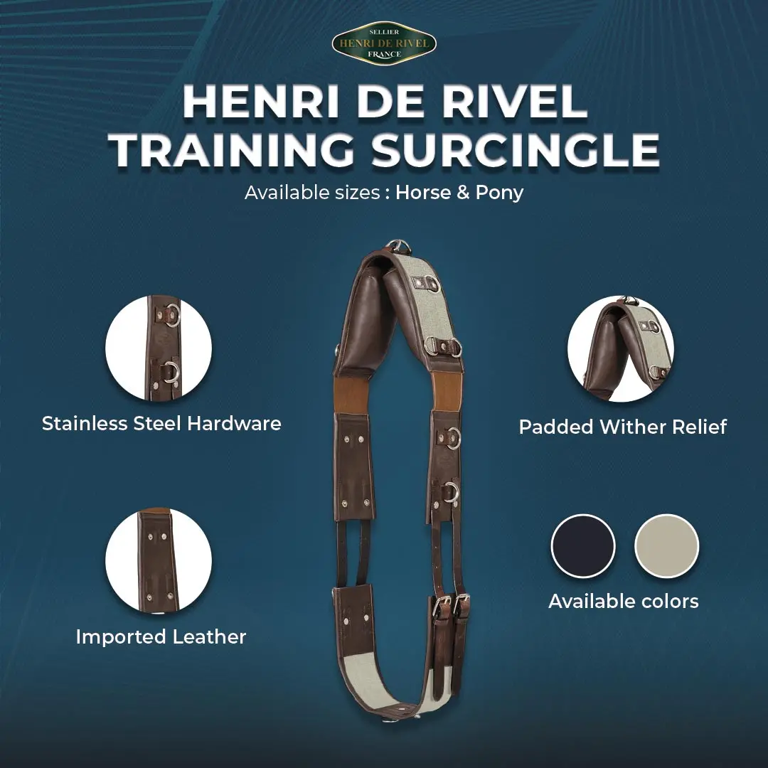 Henri De Rivel Training Surcingle 1
