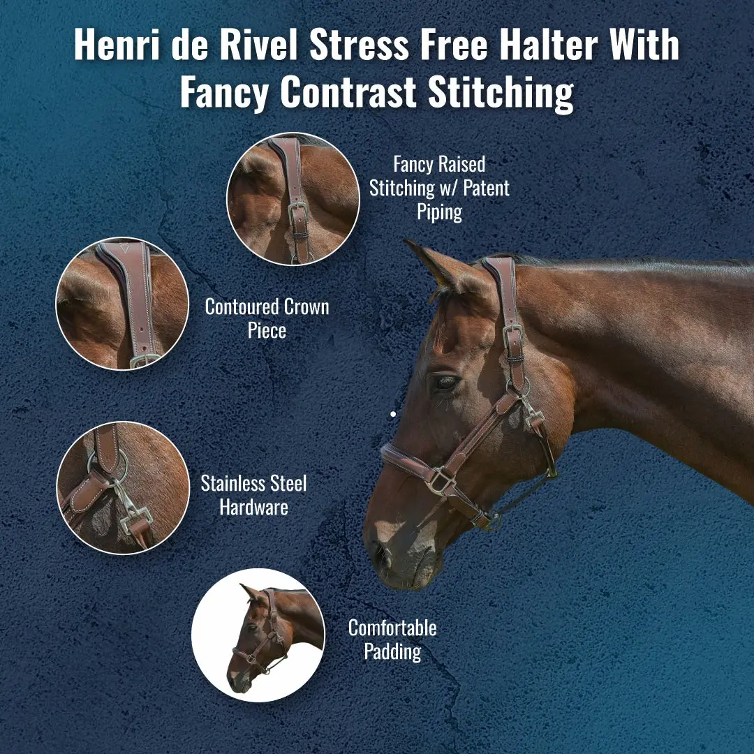 Henri De Rivel Stress Free Halter With Fancy Contrast Stitching 9