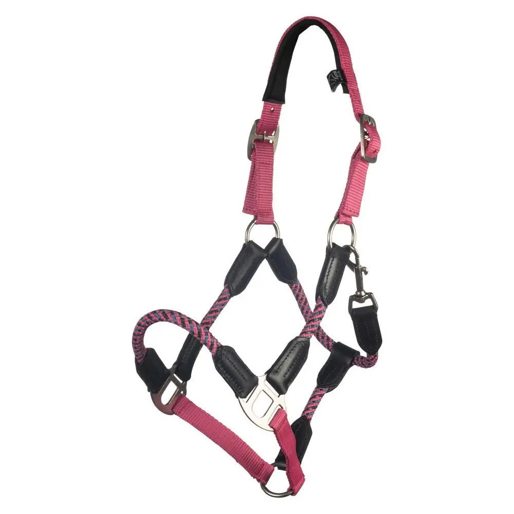 Hkm Nele Halter 1