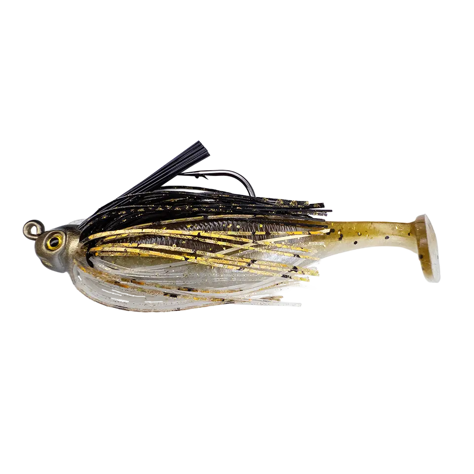 Swim Jig ➕ 3.8” Cave Swimmer 1