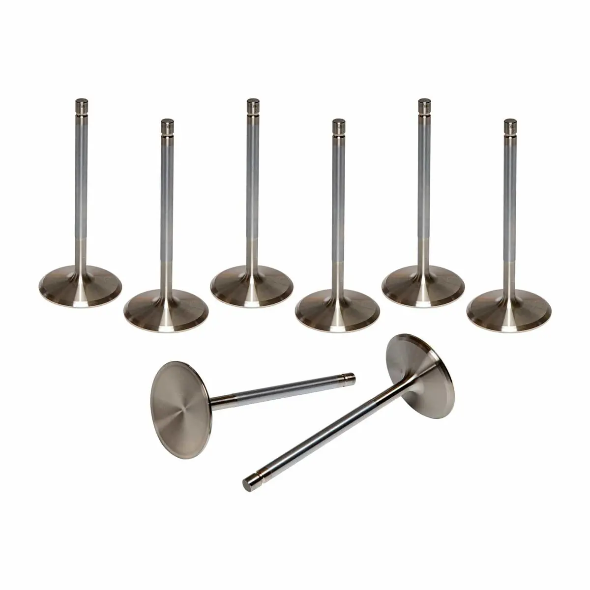 Afr Stainless Steel Replacement Valves – High-Performance Intake Set (7214-8) 1